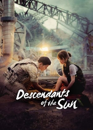 Watch Descendants of the Sun Season 1 Full Movie Online Free
