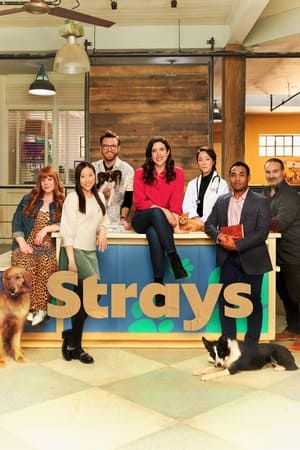 Strays Season 2