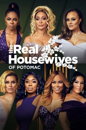 The Real Housewives of Potomac Season 7