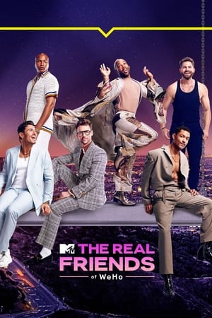 Watch The Real Friends of WeHo Season 1 Full Movie Online Free