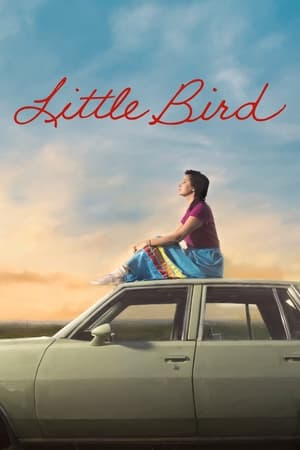 Little Bird Season 1