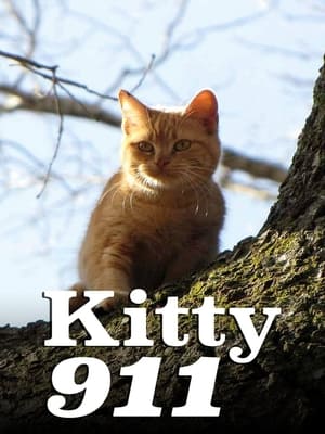 Kitty 911 Season 1