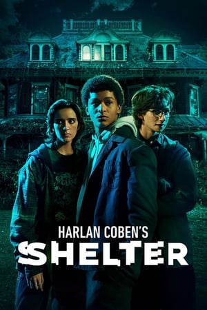 Harlan Coben's Shelter Season 1