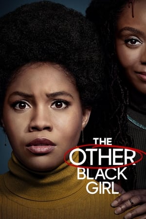 The Other Black Girl Season 1