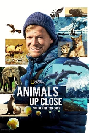 Animals Up Close with Bertie Gregory Season 1