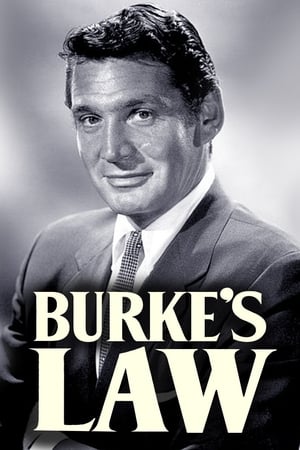 Burke's Law Season 2
